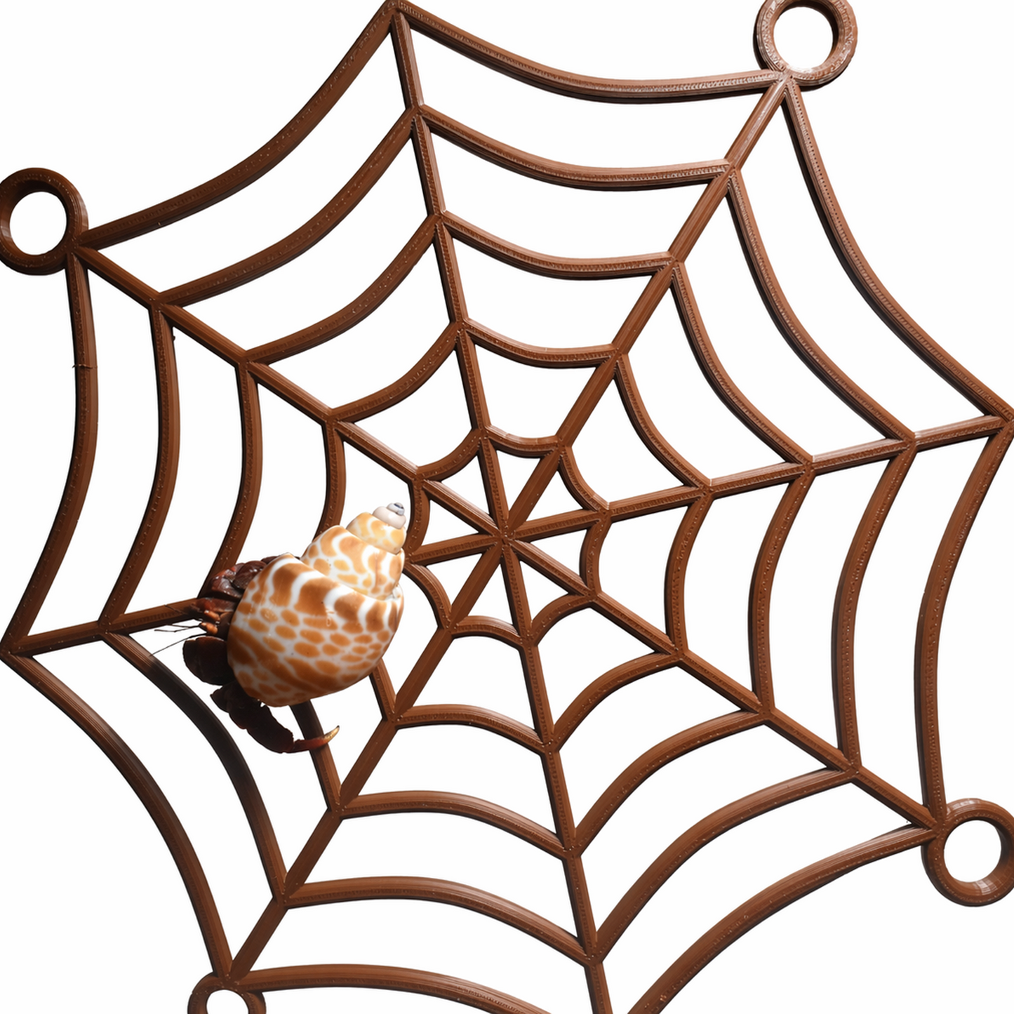 Hermit Crab Spider-Web Climbing Platform