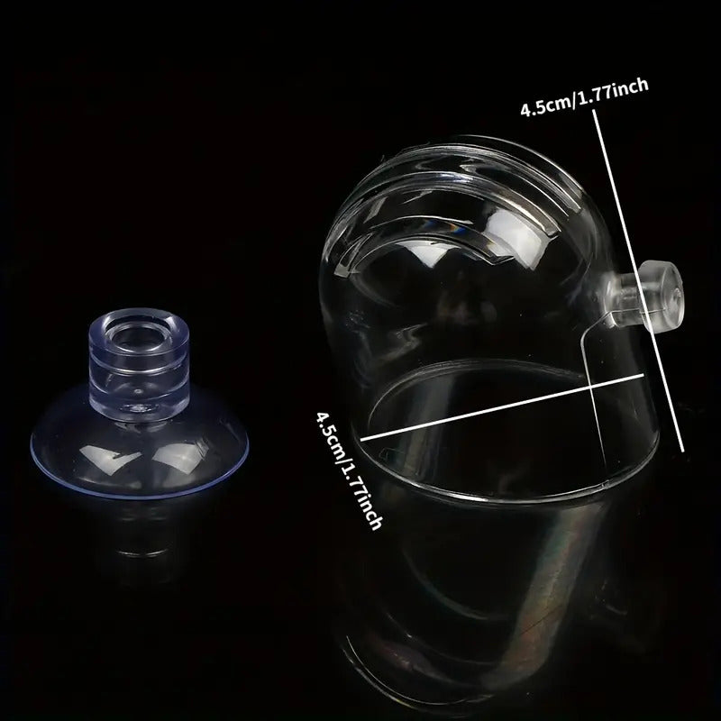 Mini Glass Pot For Aquarium Planting