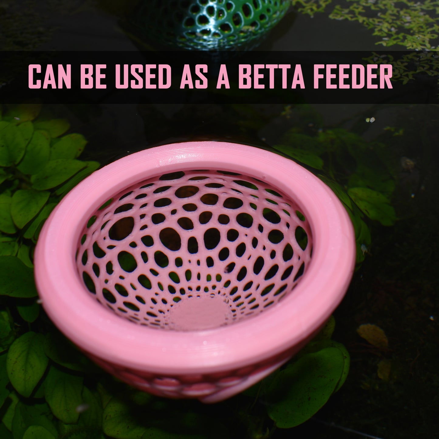 Floating Betta Hide - Betta Fish Feeder