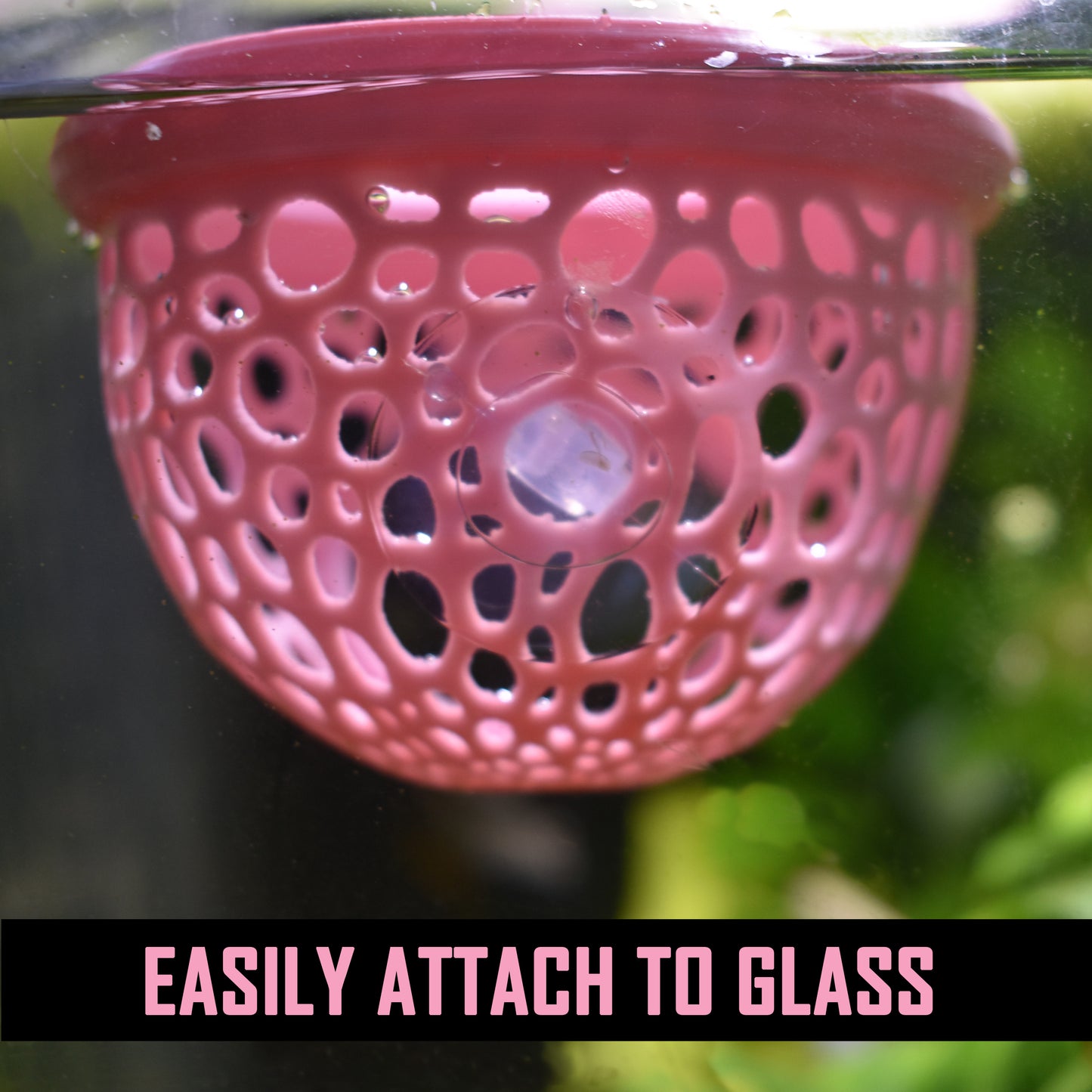 Floating Betta Hide - Betta Fish Feeder