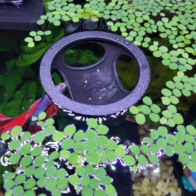 Floating Betta Tube