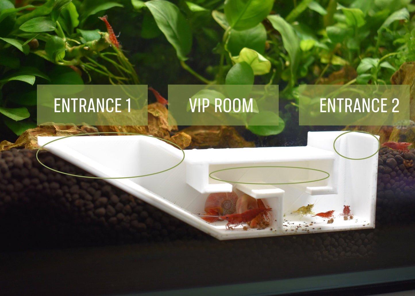 Shrimp Party Tunnel, 3D-Printed Shrimp Tunnel Redefining Underwater Elegance, Complete with an Exquisite VIP Room, Fast Shipping from Canada