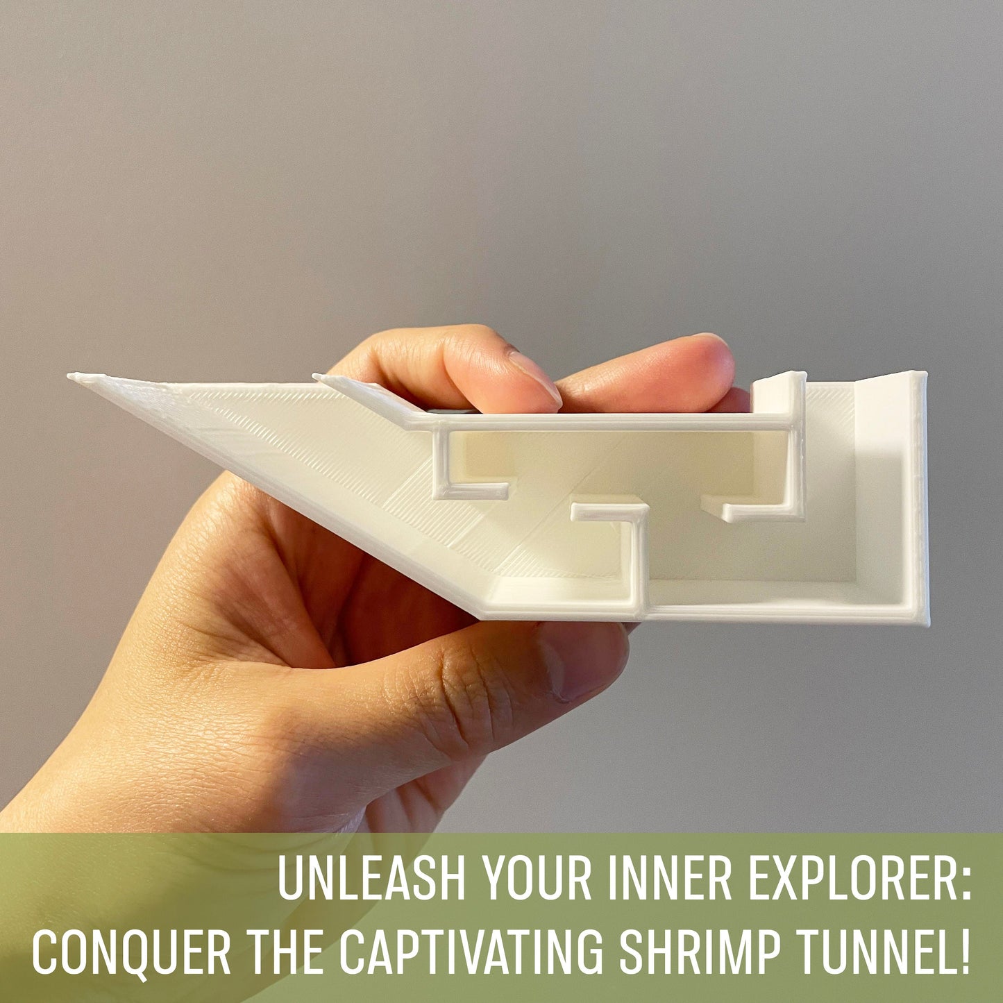 Shrimp Party Tunnel, Curved For Fluval Fish Tank