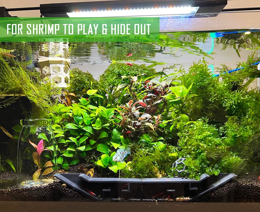 Extended Underground Shrimp Tunnel