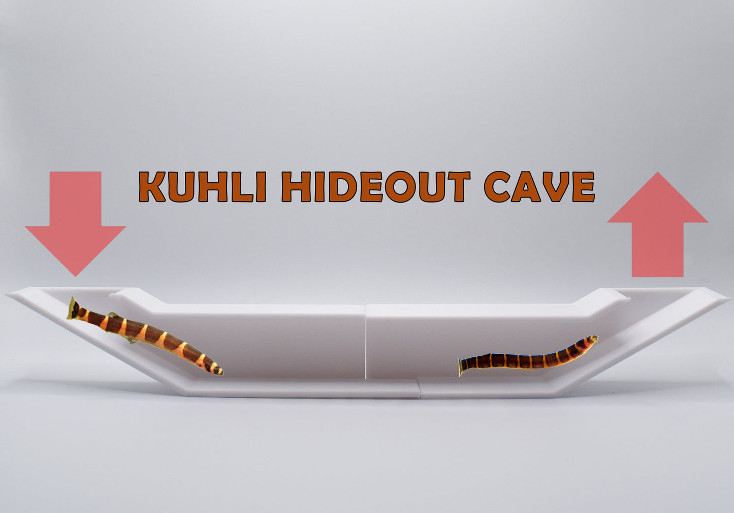 Extended Underground Tunnel For Kuhli Loach Lover
