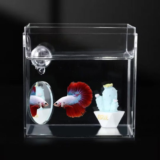 Betta Fish Training Set, Betta Tunnel - Olympic Ring - Mirror, Pack of 3
