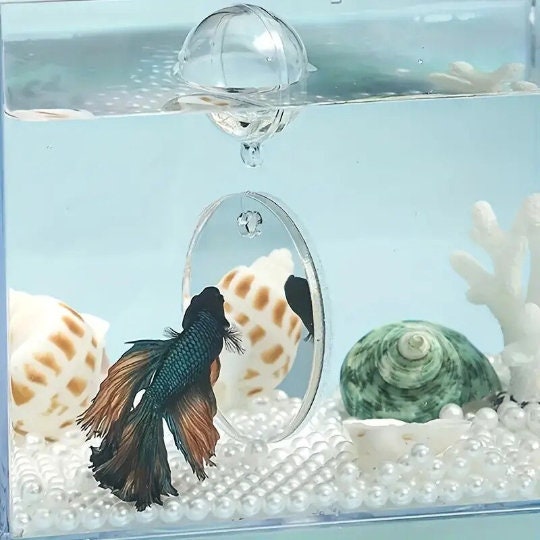 Betta Fish Training Set, Betta Tunnel - Olympic Ring - Mirror, Pack of 3