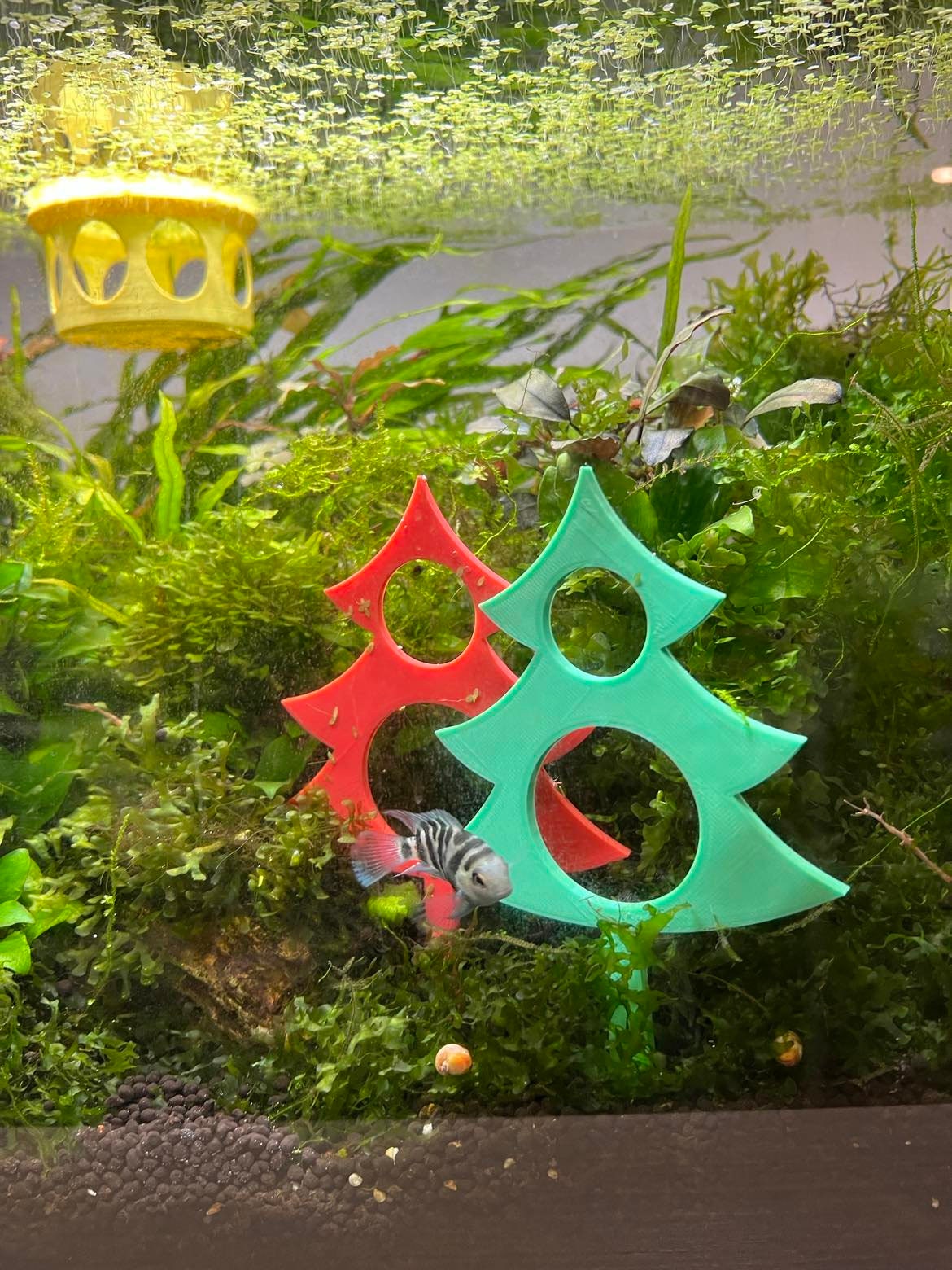 Aquarium Christmas Trees (Pack of 2)