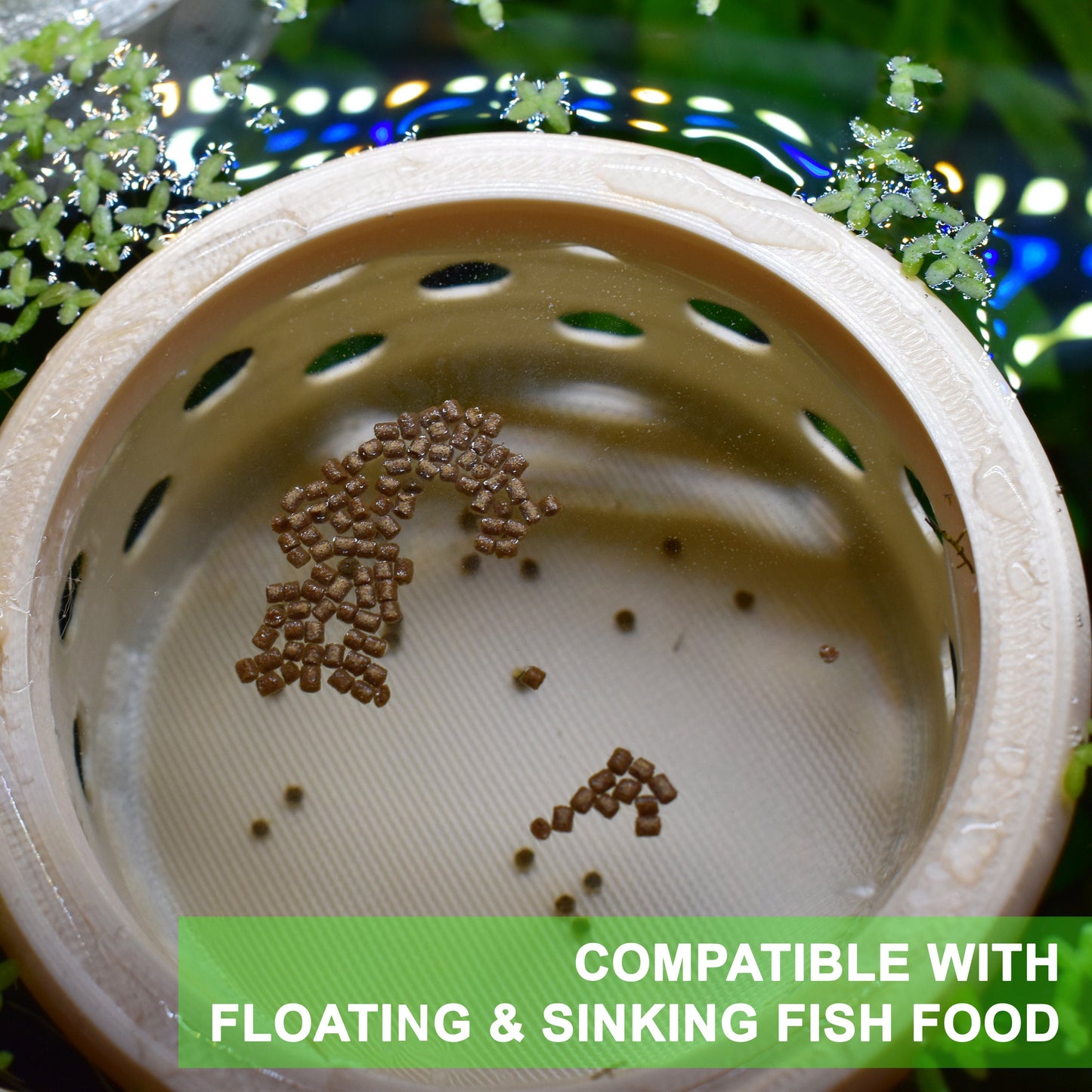 Floating Feasts Gazebo for Shrimp and Snail - Benefits of Targeted Feeding
