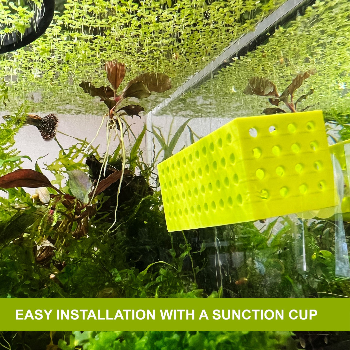 Plant Pot For Aquarium Fish Tank