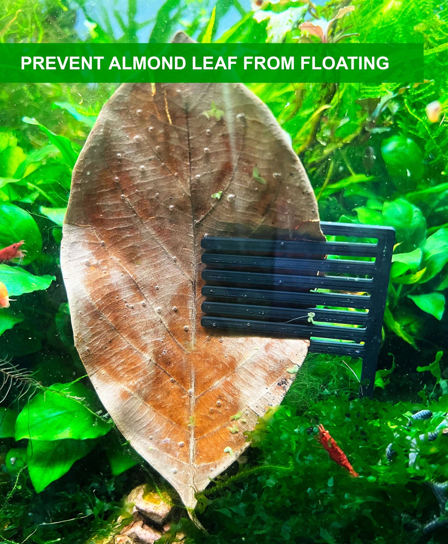 Almond Leaf Holder. Aquarium Leaf Holder