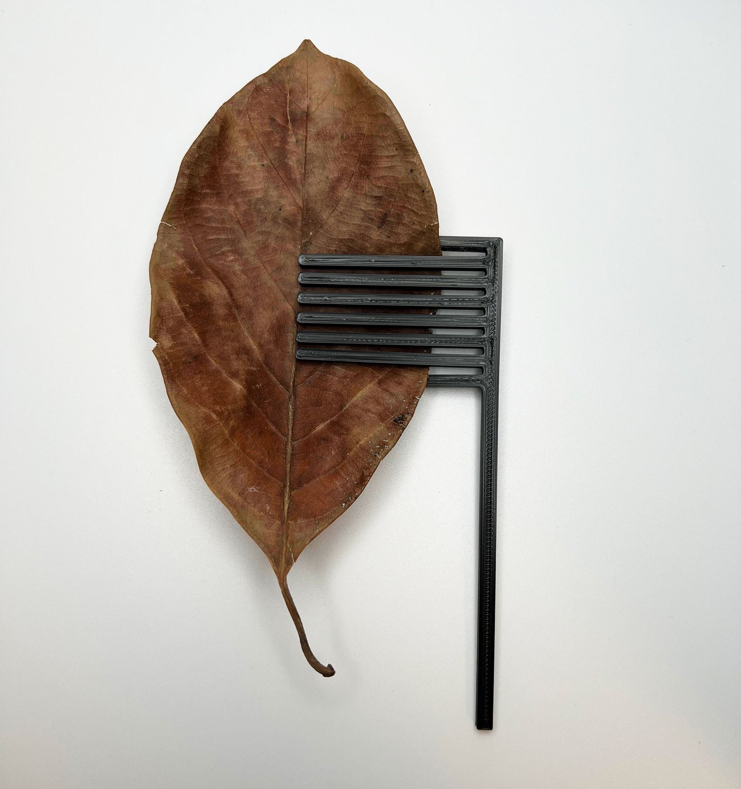 Almond Leaf Holder. Aquarium Leaf Holder