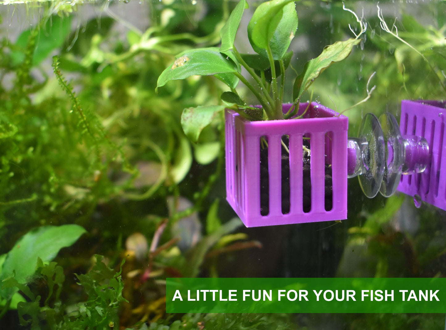 Aquarium Mini Plant Holders with Suction Cup