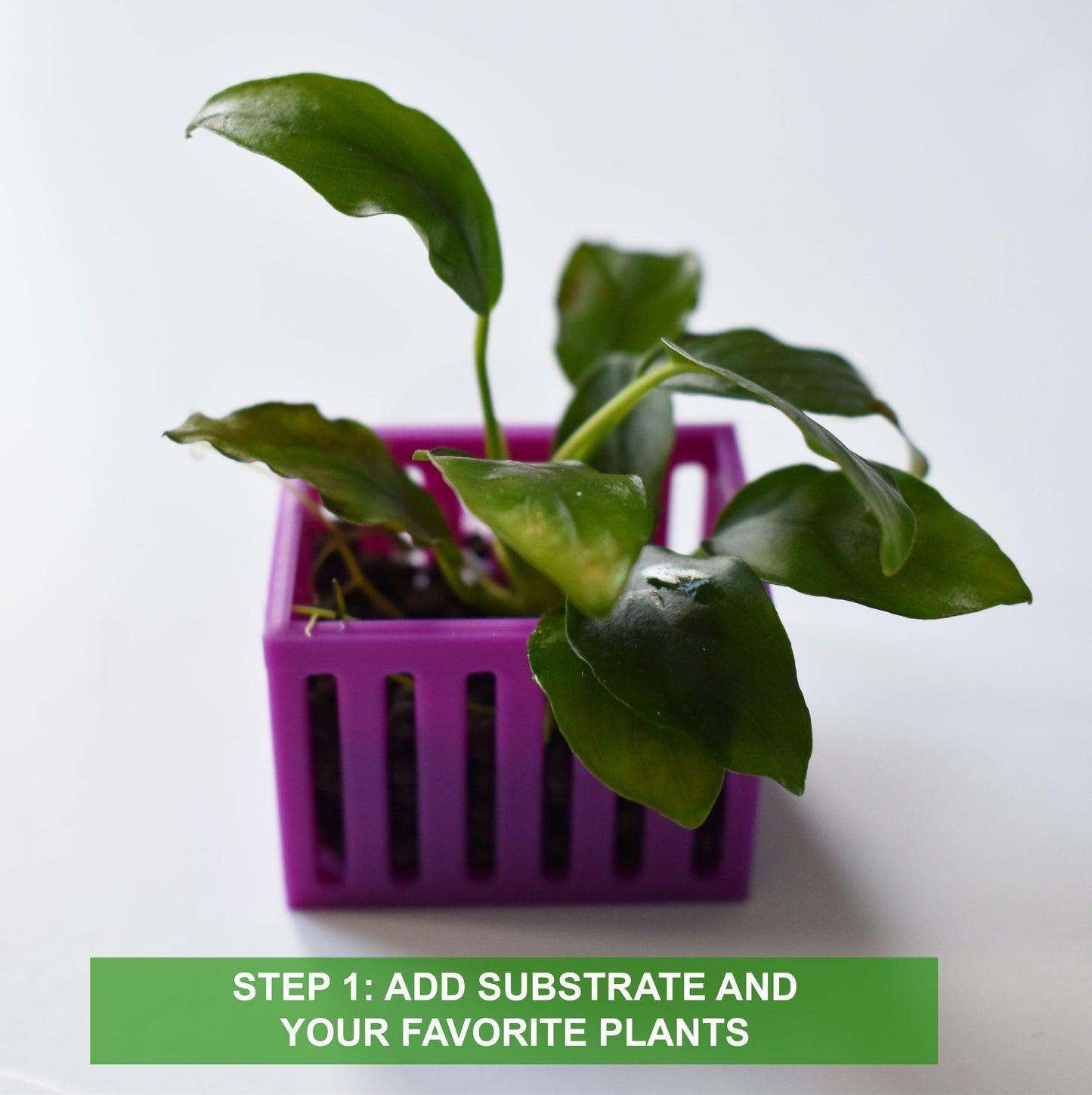 Aquarium Mini Plant Holders with Suction Cup