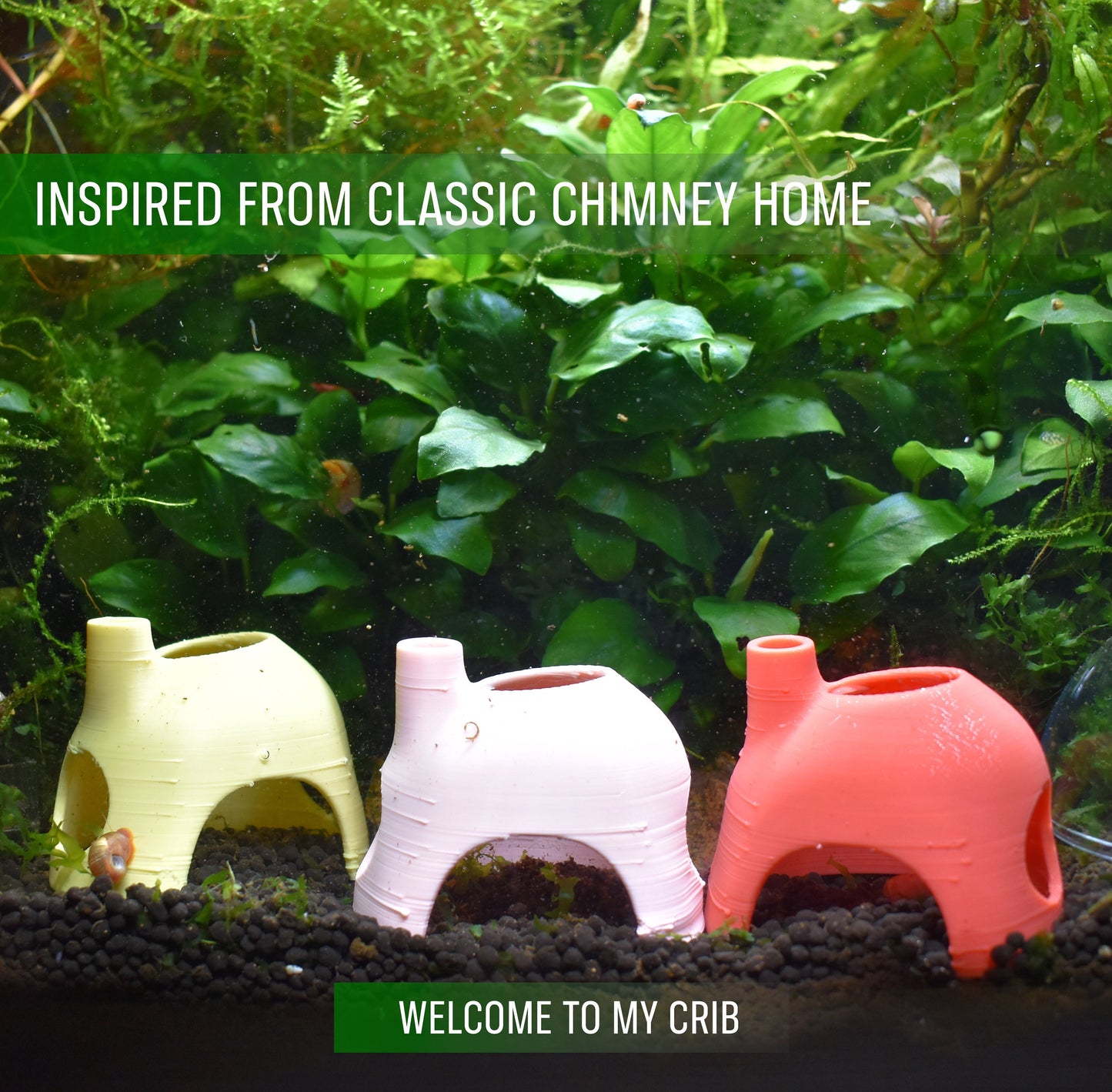 Shrimp and Fish Cozy Home Decor