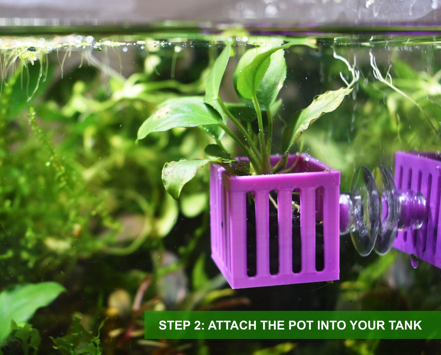 Aquarium Mini Plant Holders with Suction Cup