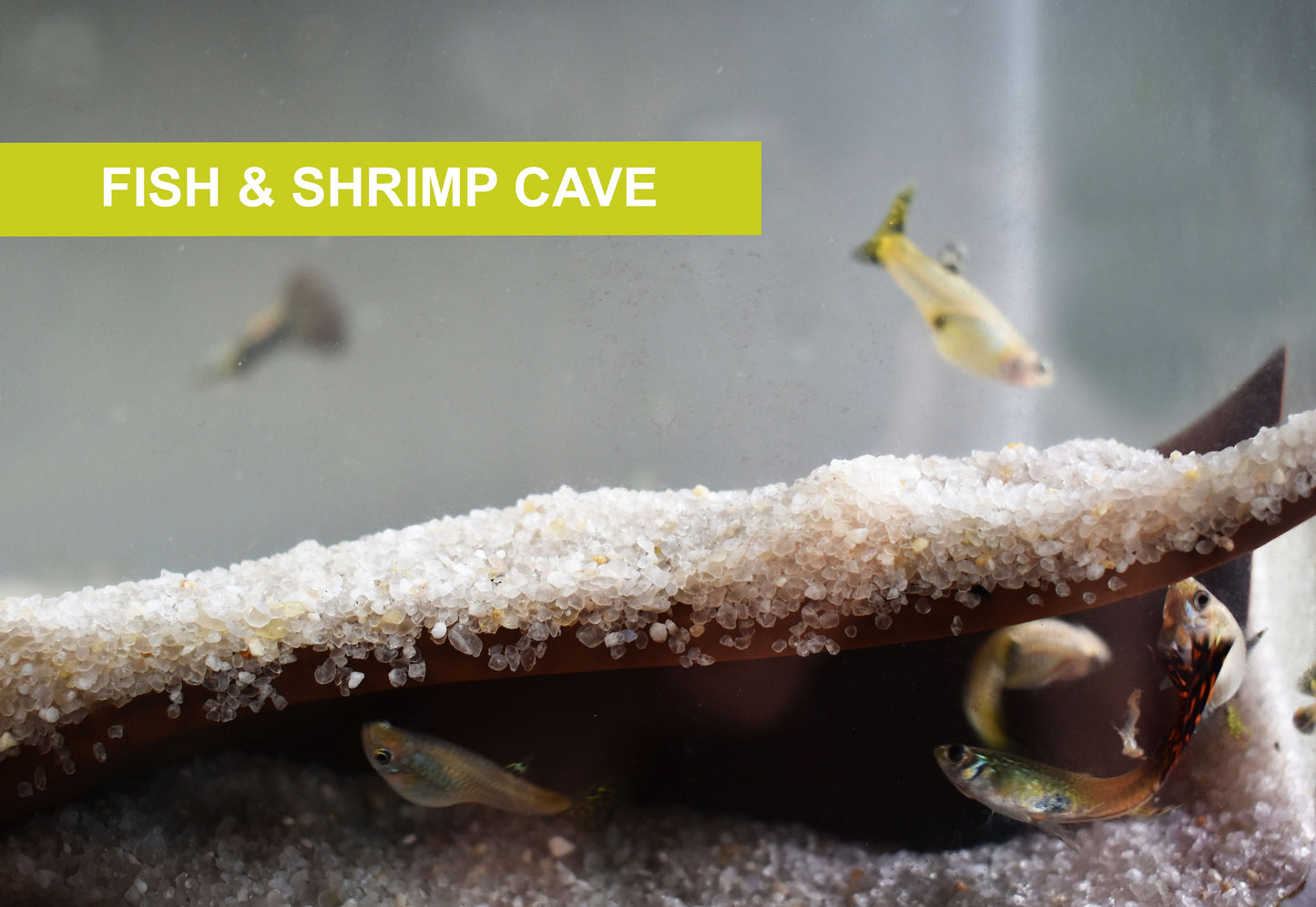 Underground Tunnel Cave for Pleco, Cory and Kuhli