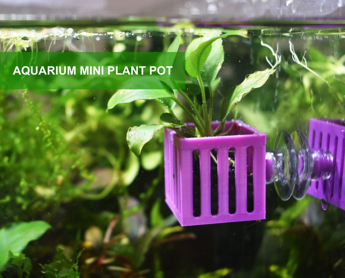 Aquarium Mini Plant Holders with Suction Cup