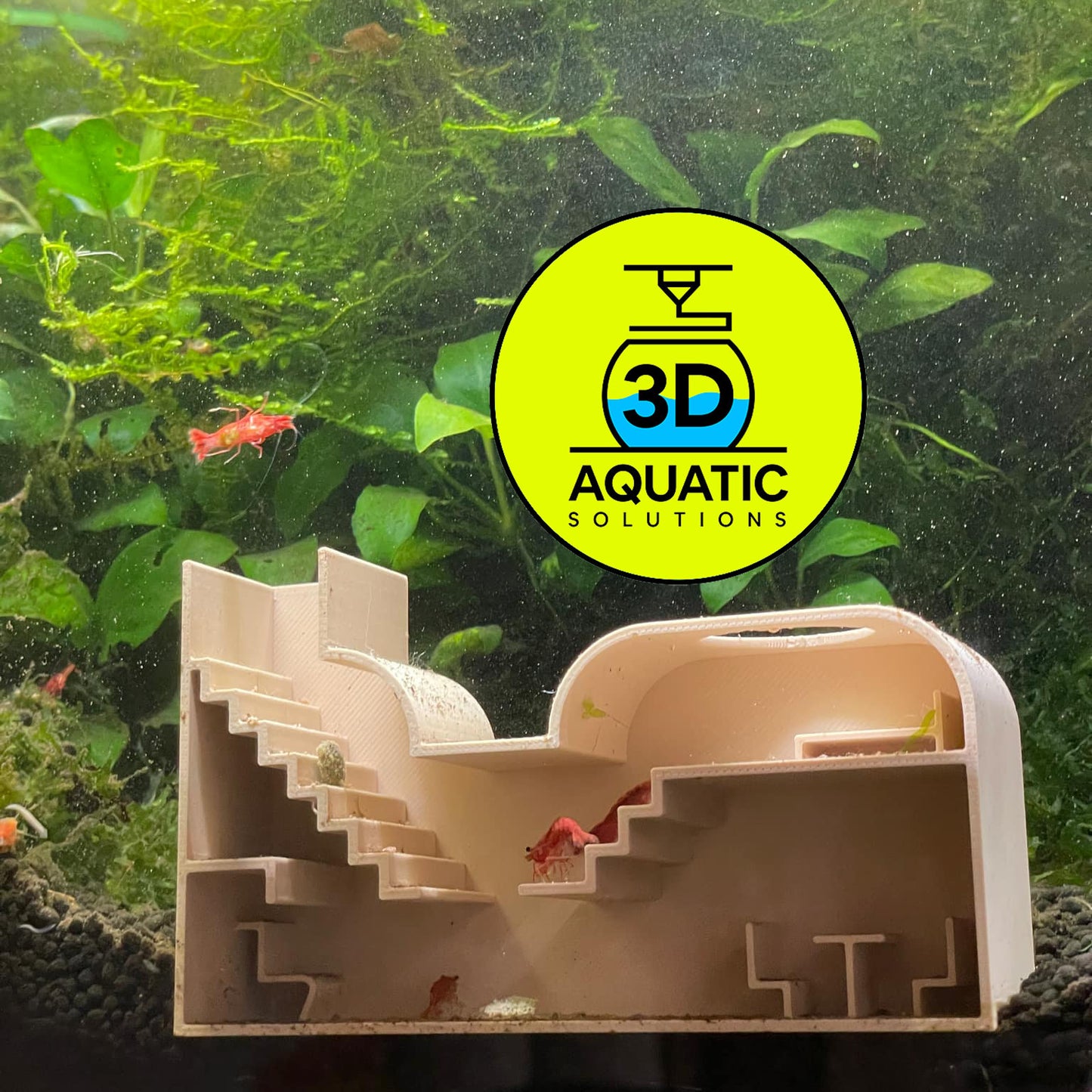 Aquarium Shrimp Rental Studio