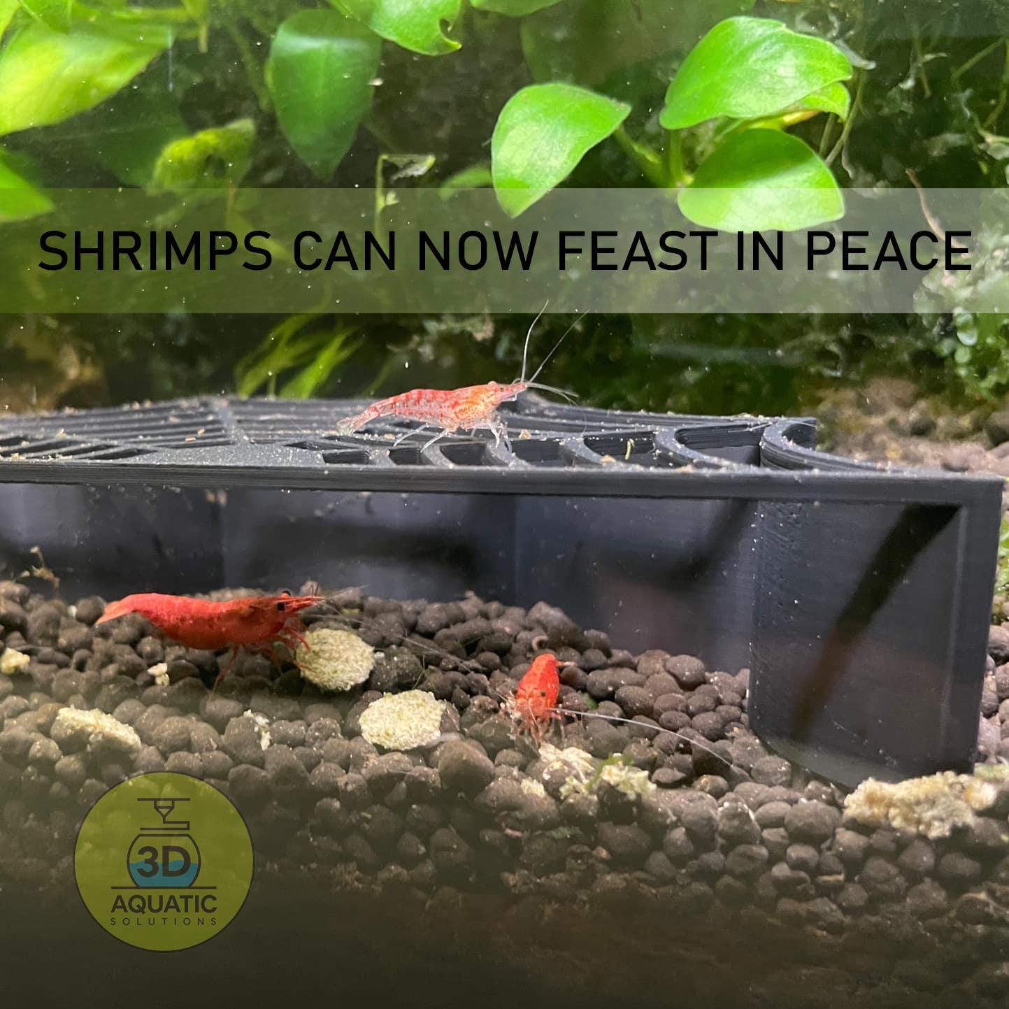 Spider Shrimp Guard to Prevent Predator Fish