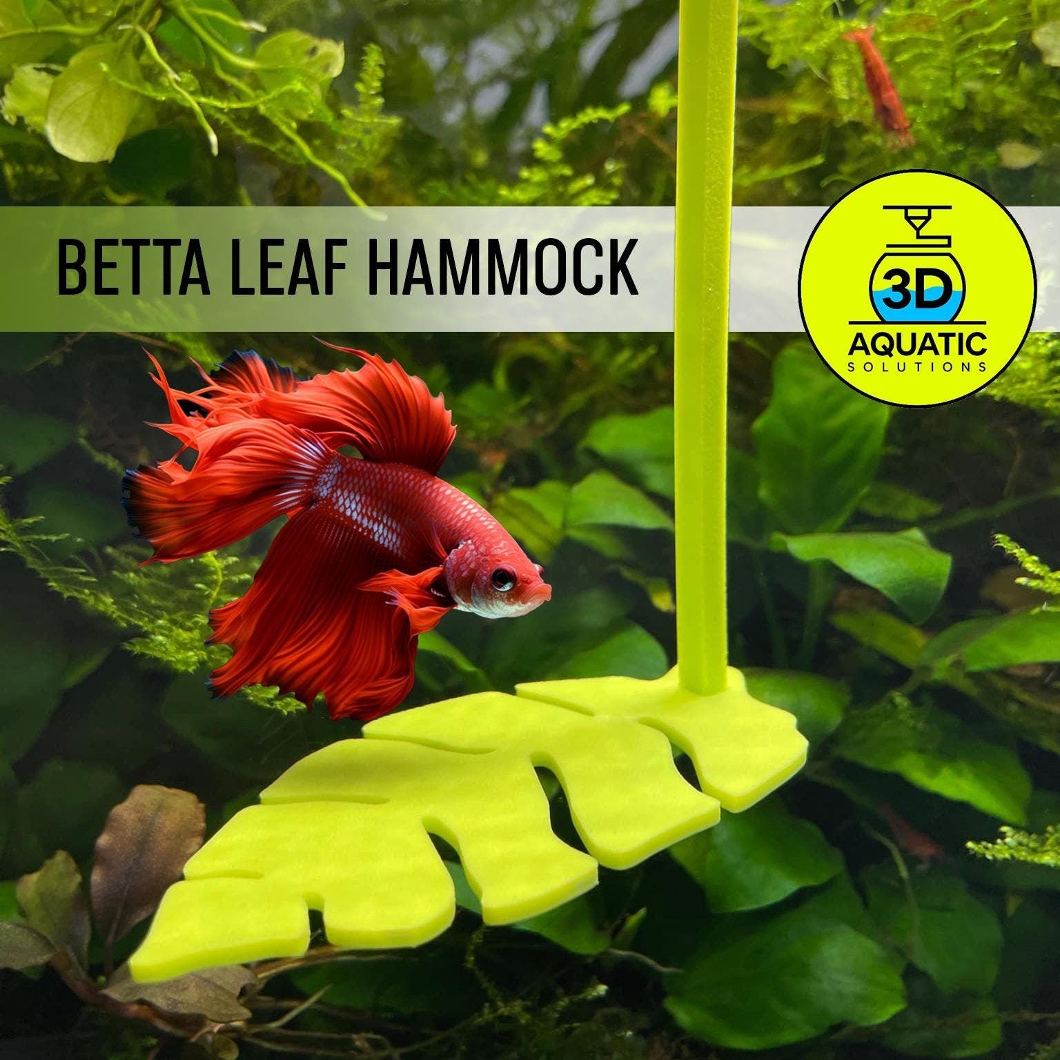 Active Betta Leaf Hammock with Floating Ring – 3D Aquatic Solutions