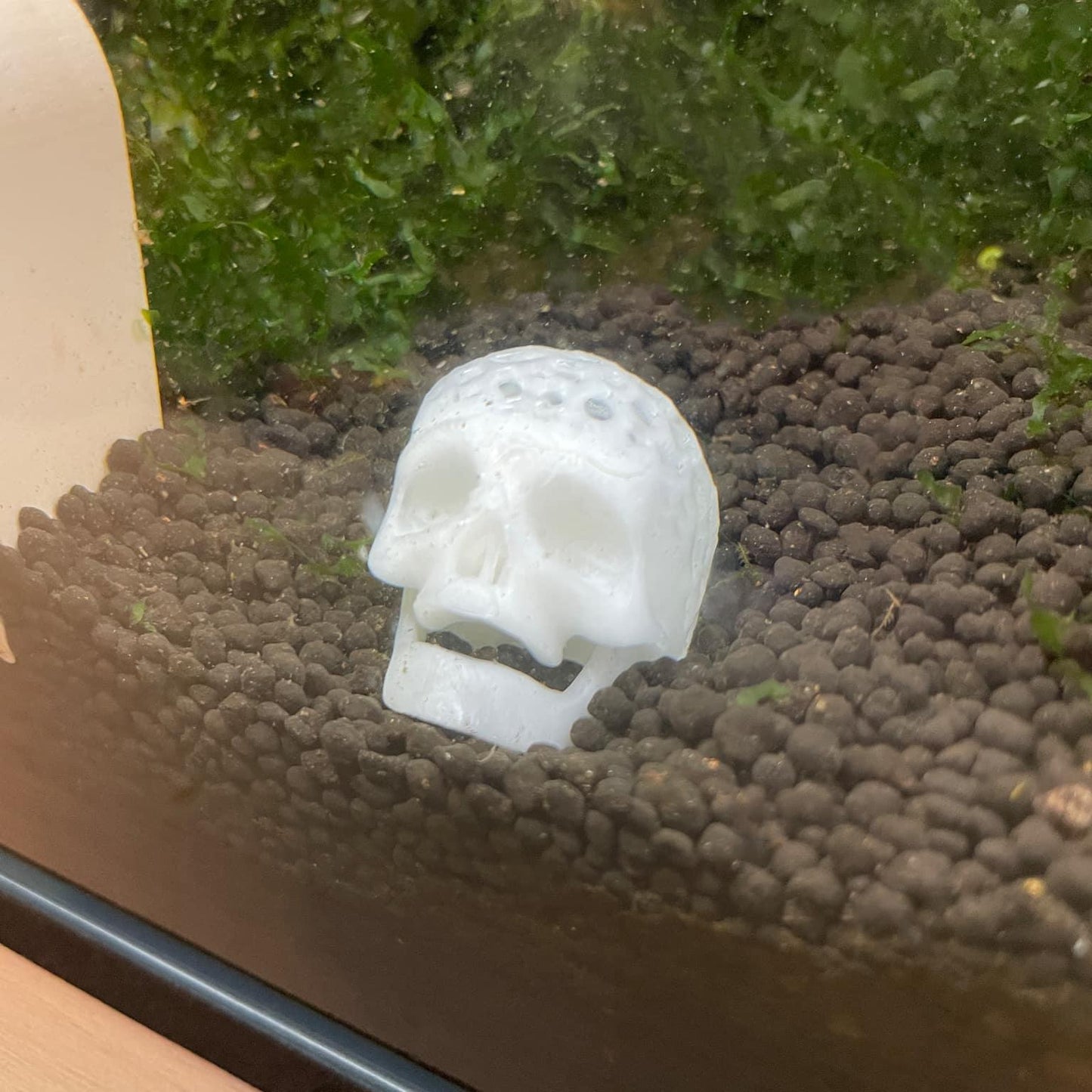 Halloween Skull Aquarium Decor