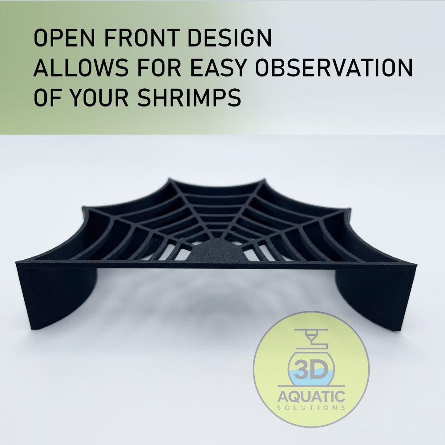 Spider Shrimp Guard to Prevent Predator Fish