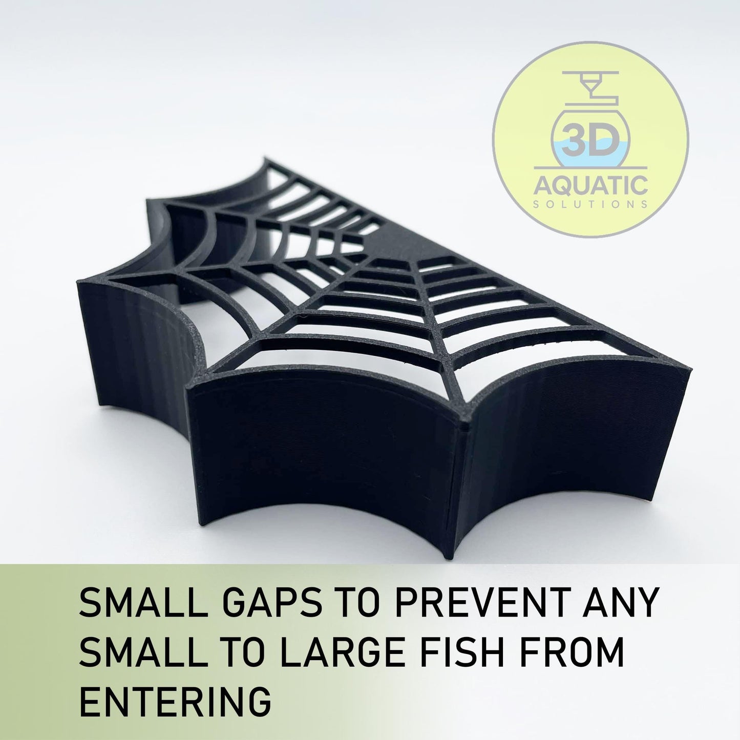 Spider Shrimp Guard to Prevent Predator Fish