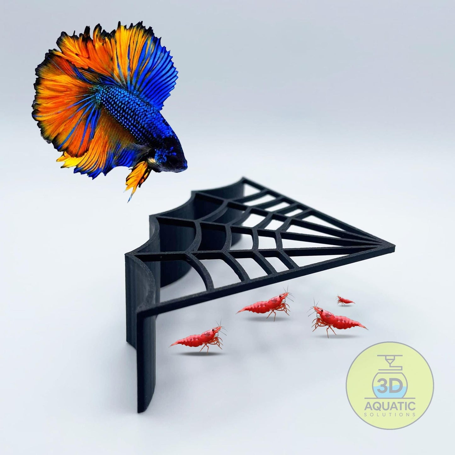 Spider Corner Shrimp Guard To Prevent Predator Fish. Halloween Theme Shrimp Protector Guard to Keep Peace in Shrimp and Betta Tank.