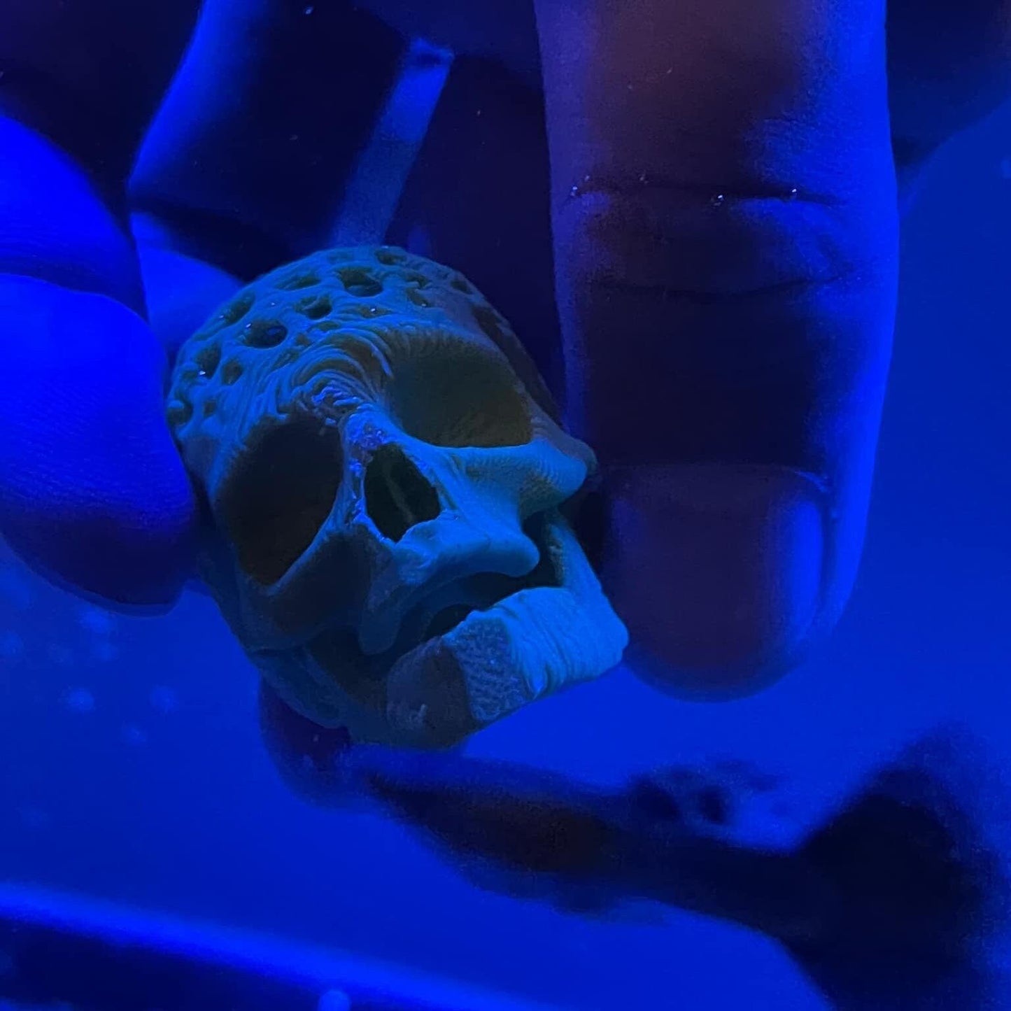Halloween Skull Aquarium Decor