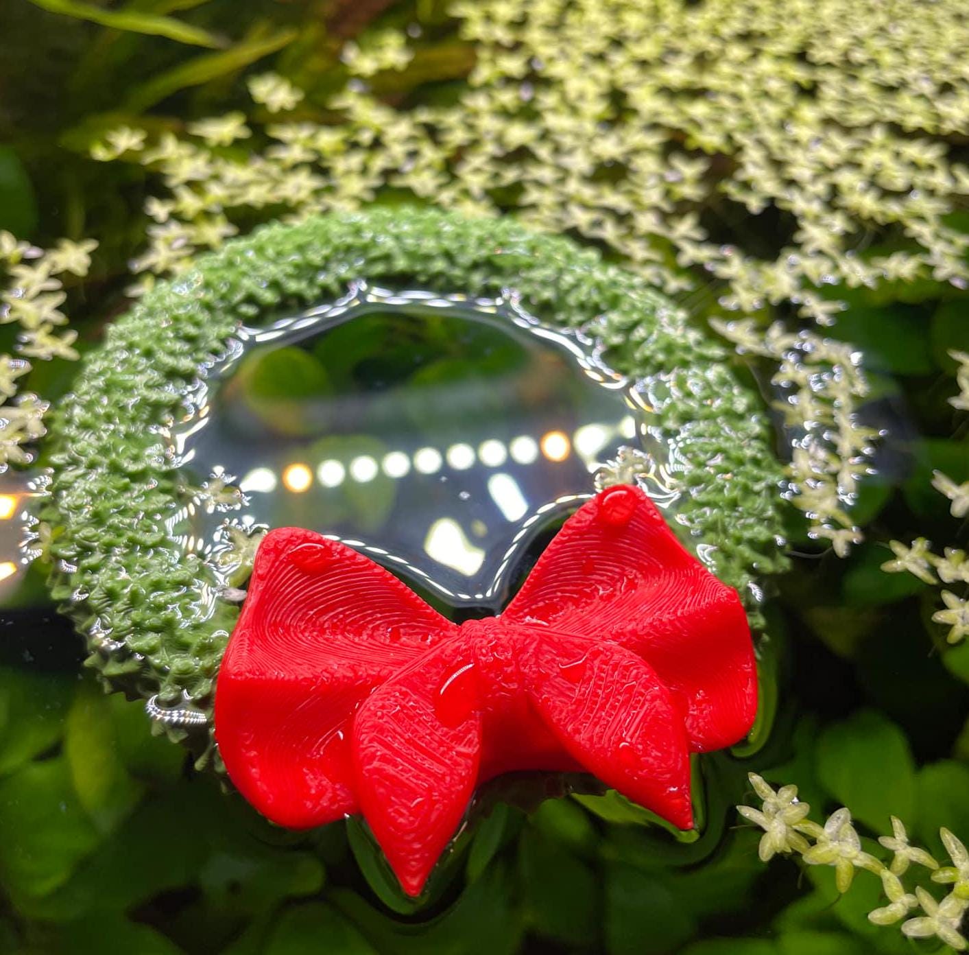 Christmas Wreath Fish Feeder