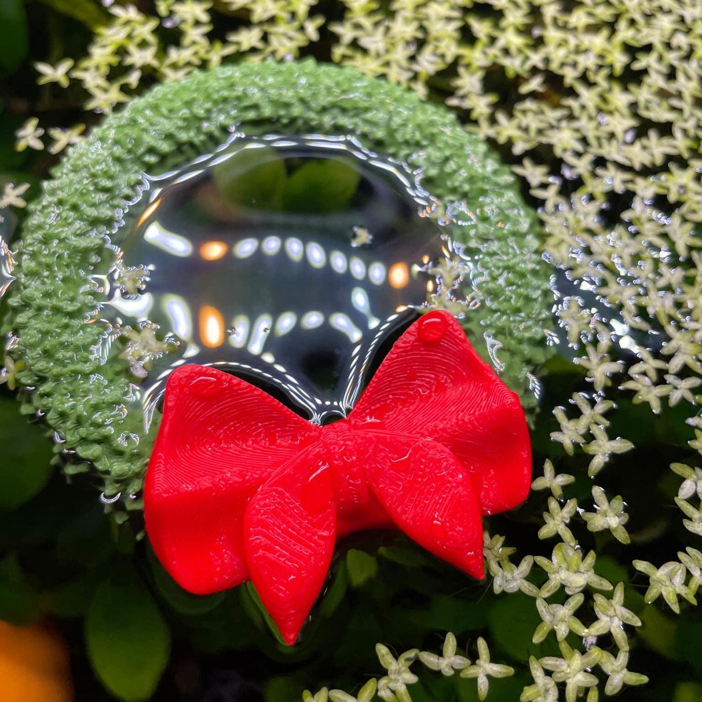 Christmas Wreath Fish Feeder