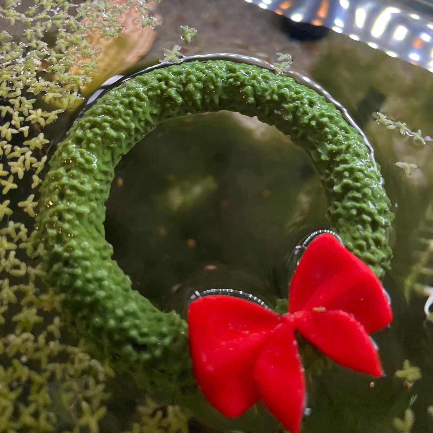 Christmas Wreath Fish Feeder
