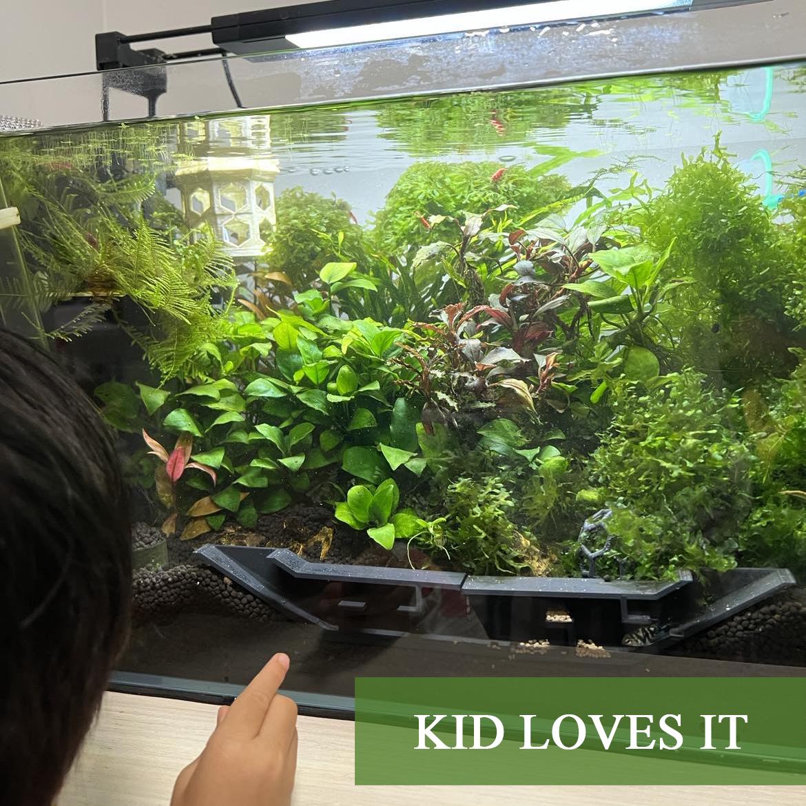 Extended Underground Shrimp Tunnel