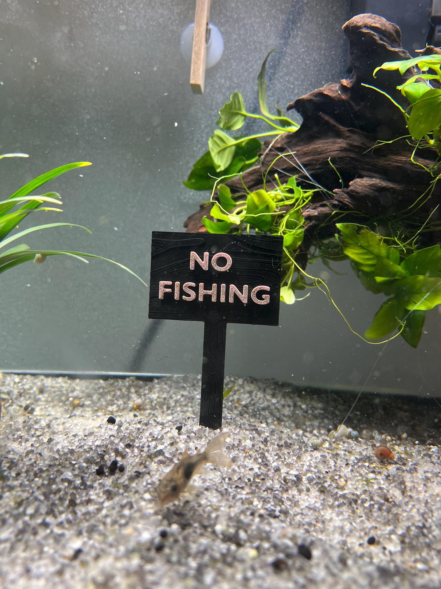 Custom Fishing Sign for Aquarium Tank Decor