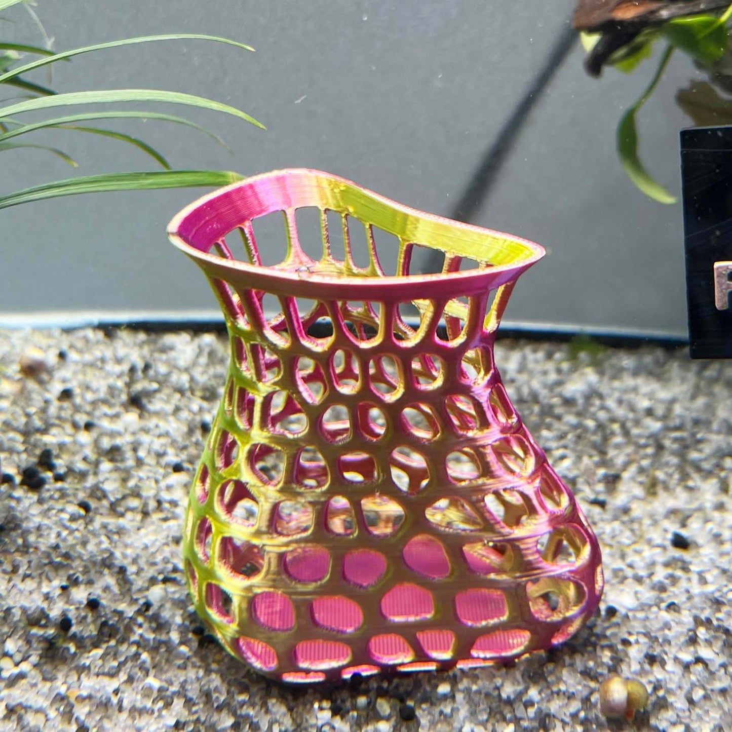 Plant Holder For Aquatic Plants