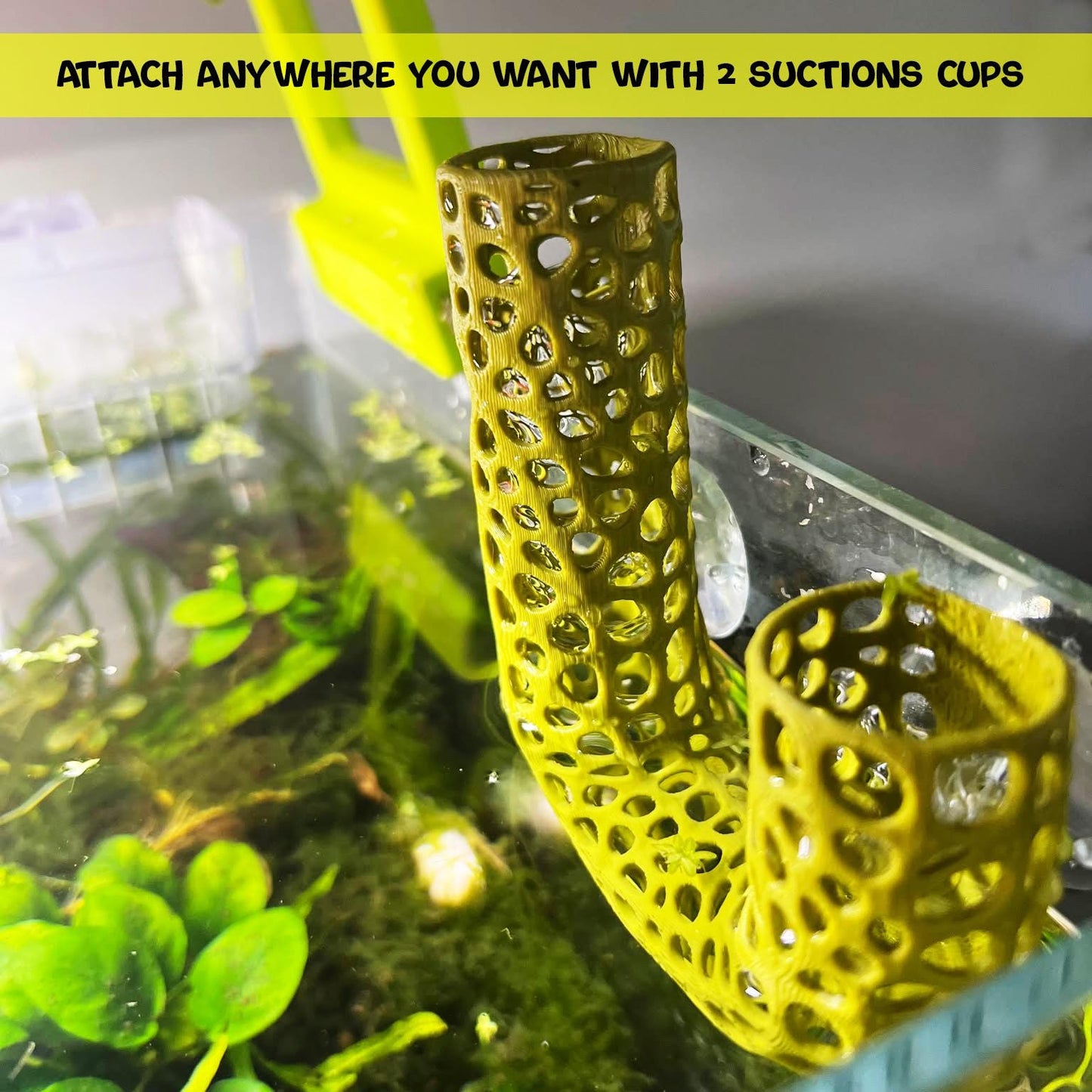 Lucky Bamboo Aquarium Plant Holder