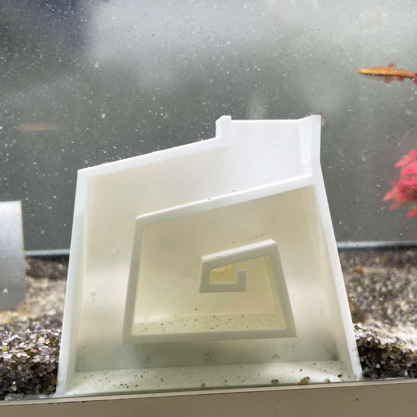 Aquarium Shrimp Maze