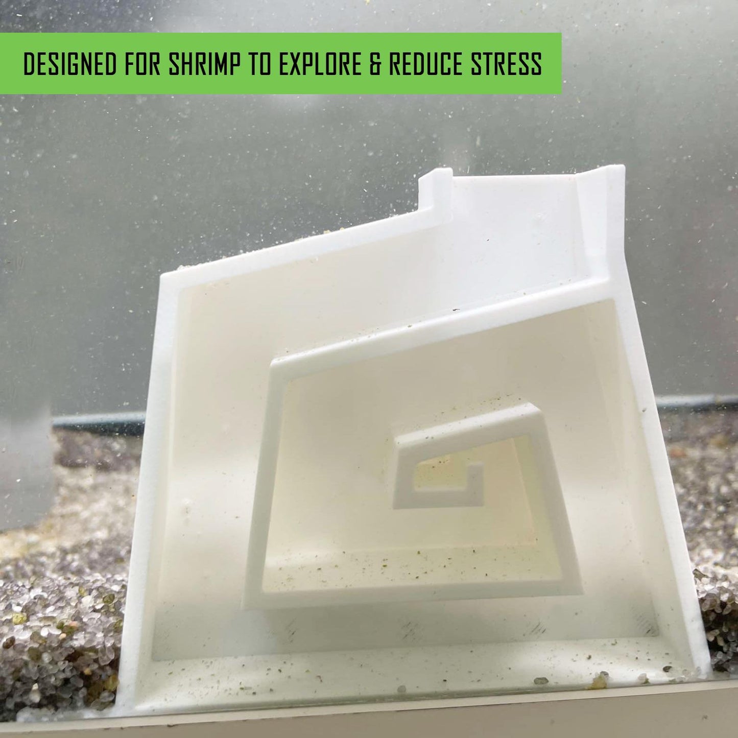 Aquarium Shrimp Maze