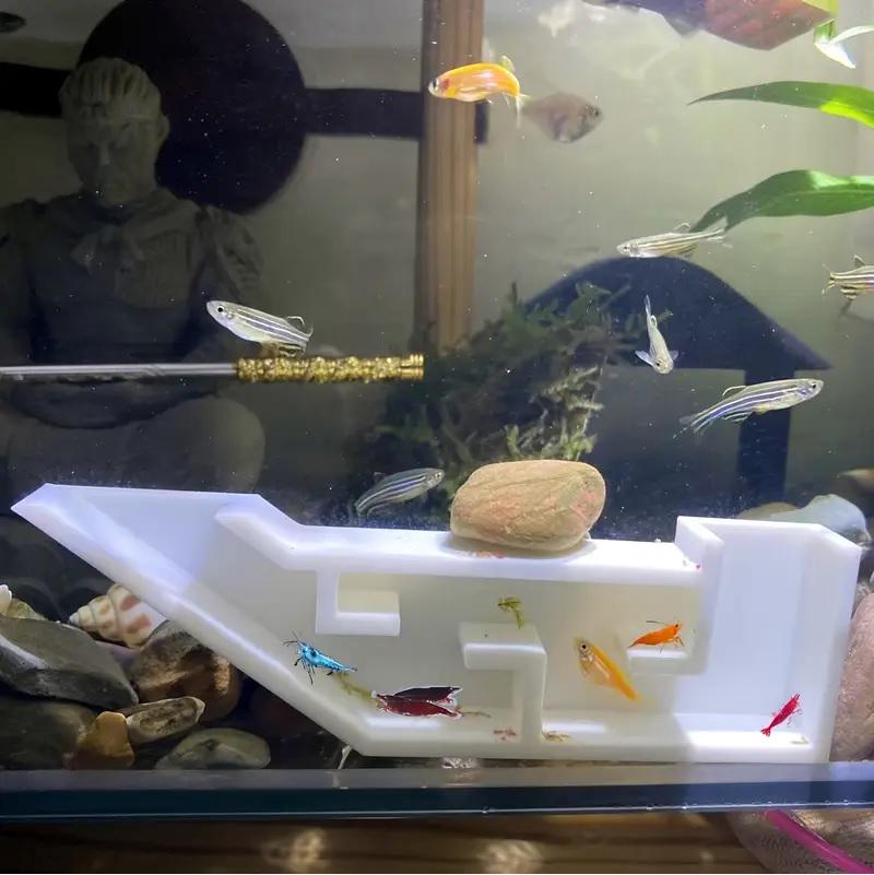 Underground Shrimp Party Tunnel - Complete with an Exquisite VIP Room