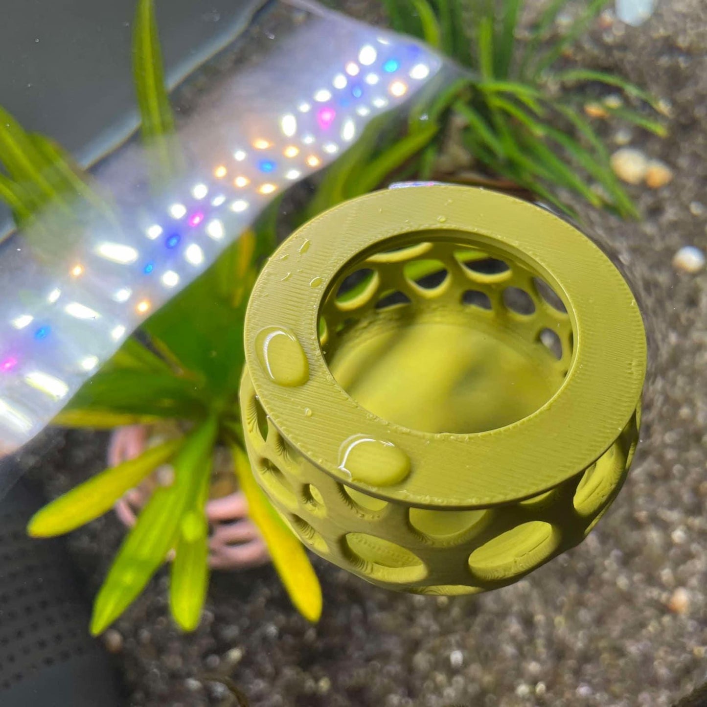 Floating Feeding Gazebo For Shrimps & Fishes. Benefits of Targeted Feeding. Aquatic Dining Experience. Promote Healthy Shrimp Diets.