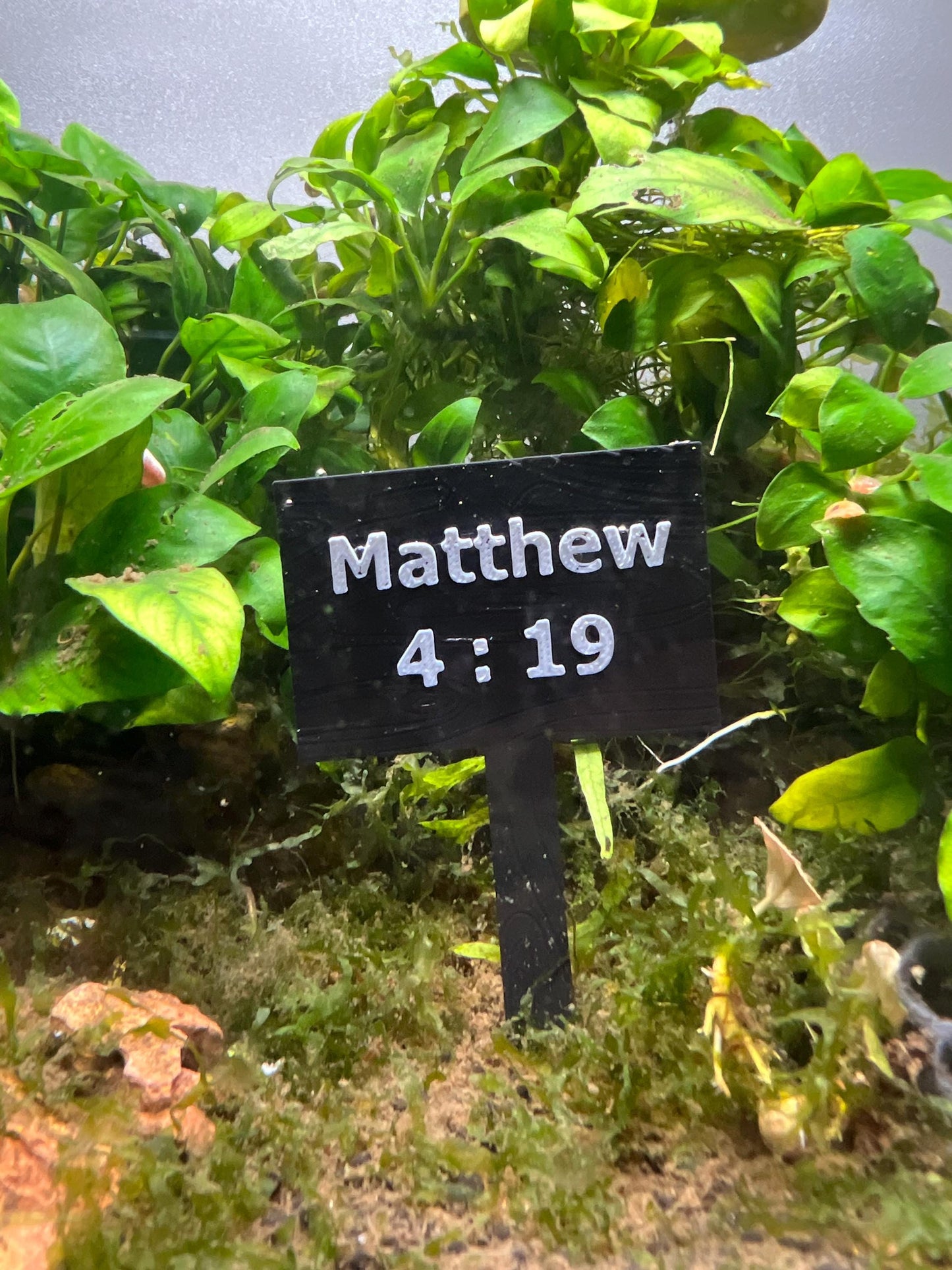 Custom Fishing Sign for Aquarium Tank Decor