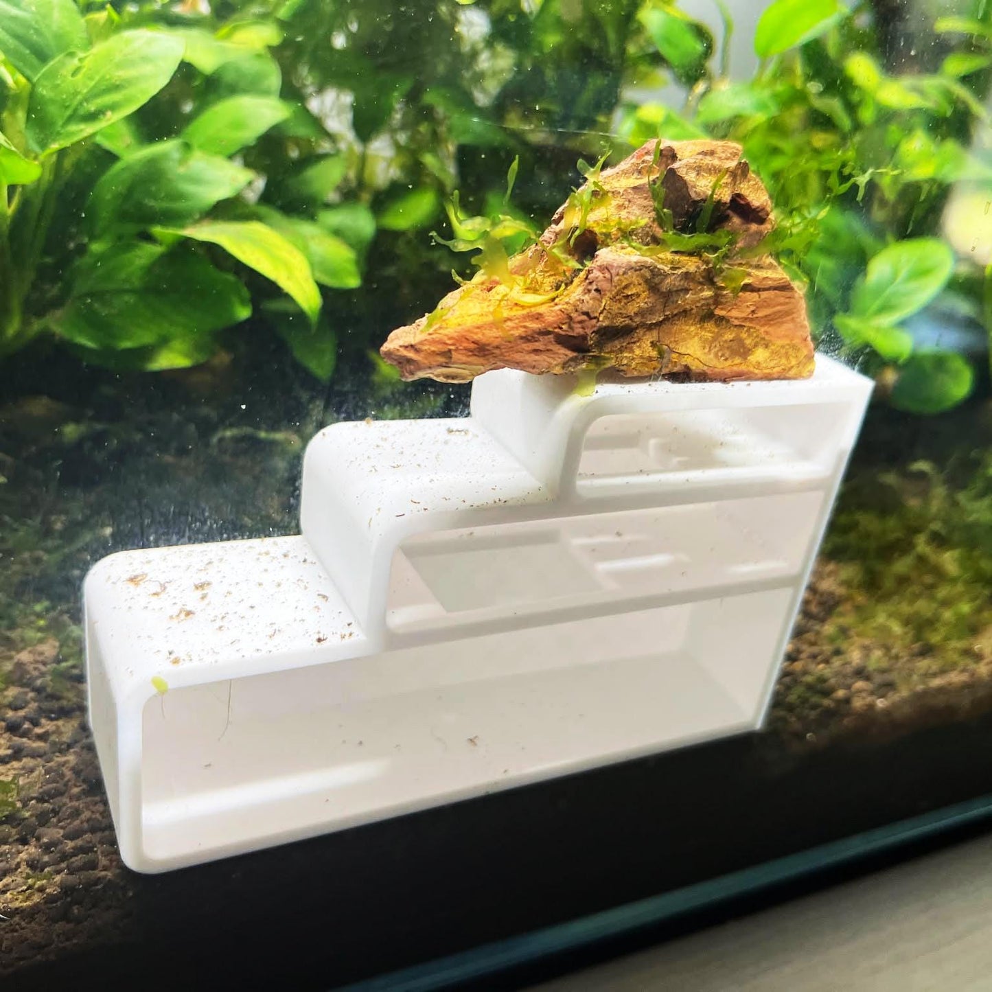 Aquarium 3 Level Shrimp Complex, Aquarium Shrimp Tunnel For Fun Activities