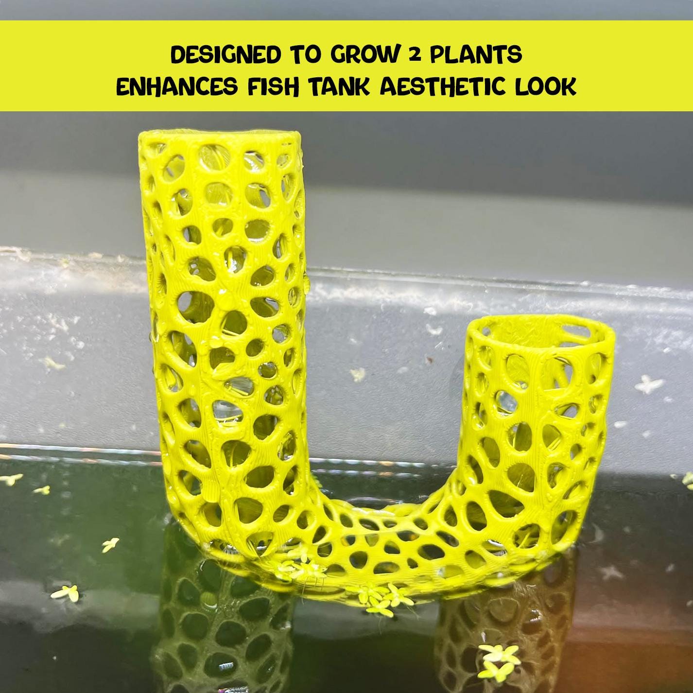 Lucky Bamboo Aquarium Plant Holder