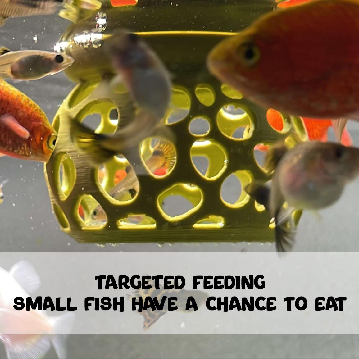 Floating Feeding Gazebo For Shrimps & Fishes