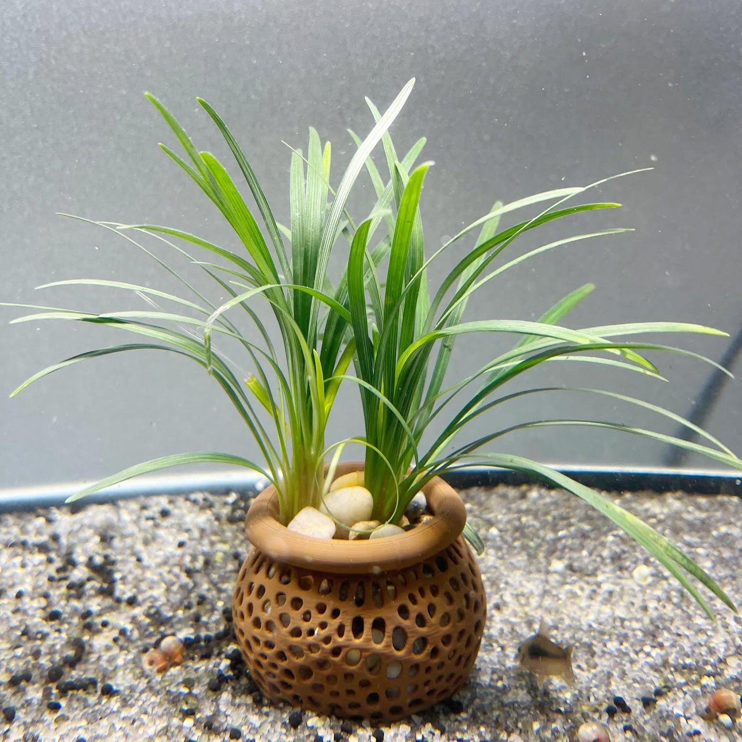 Aquarium Plant Pot Holder