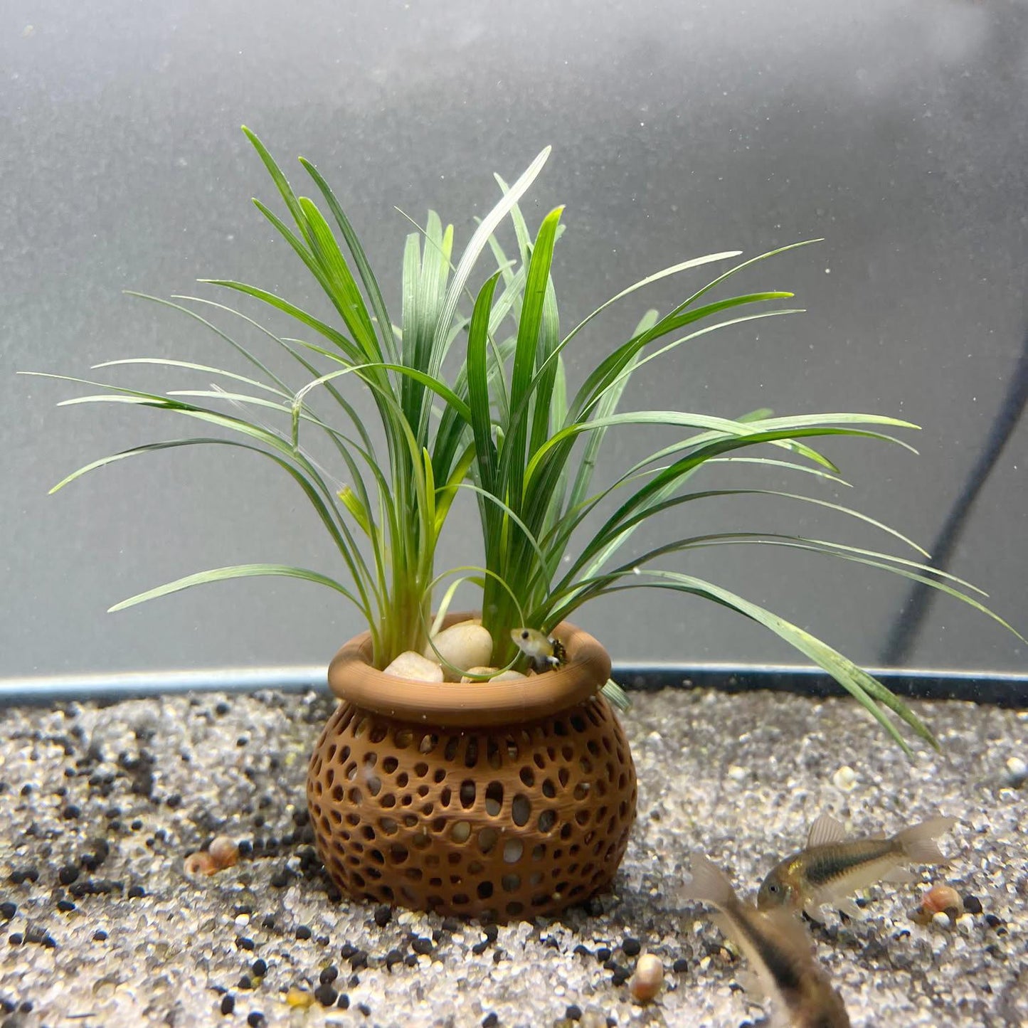 Aquarium Plant Pot Holder