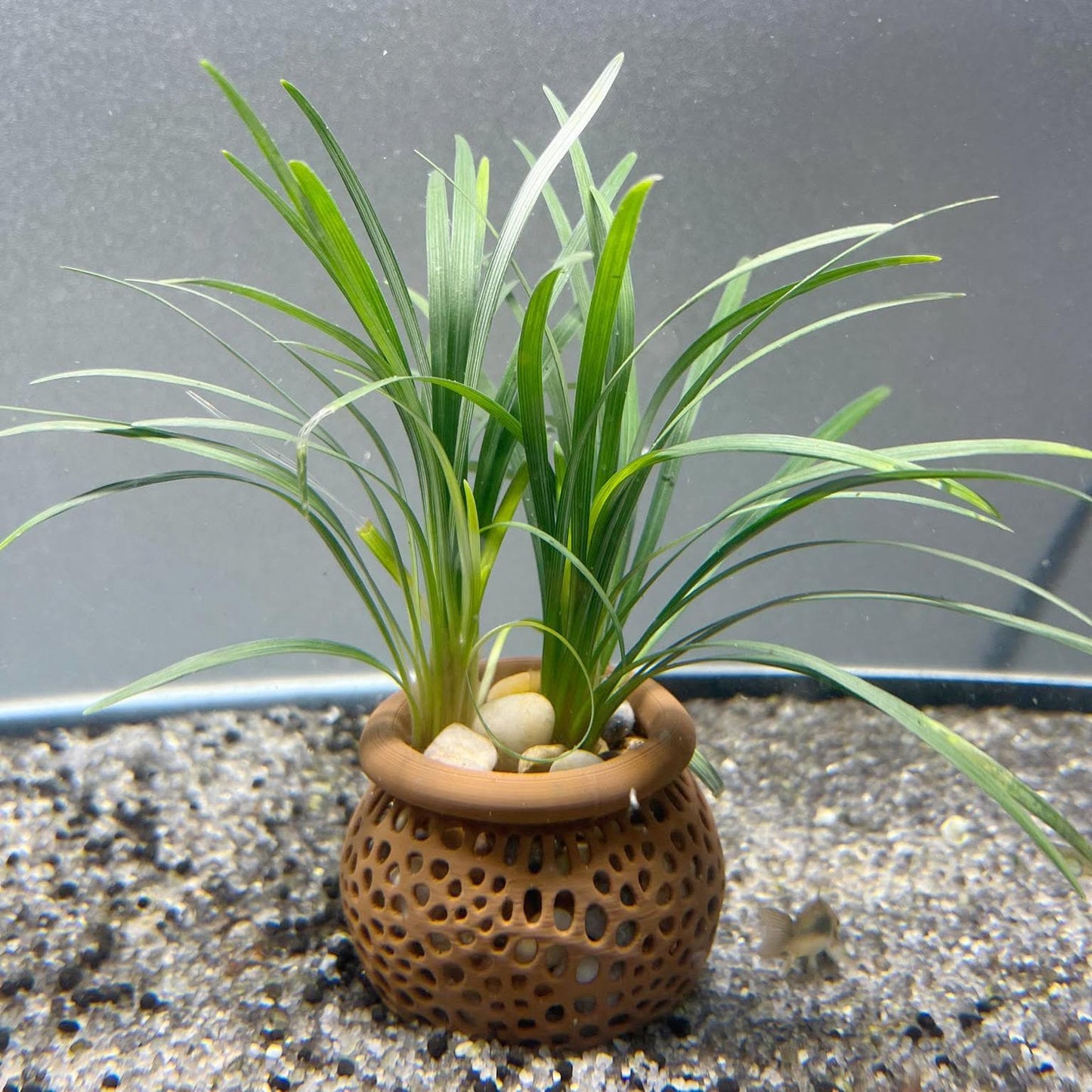 Aquarium Plant Pot Holder