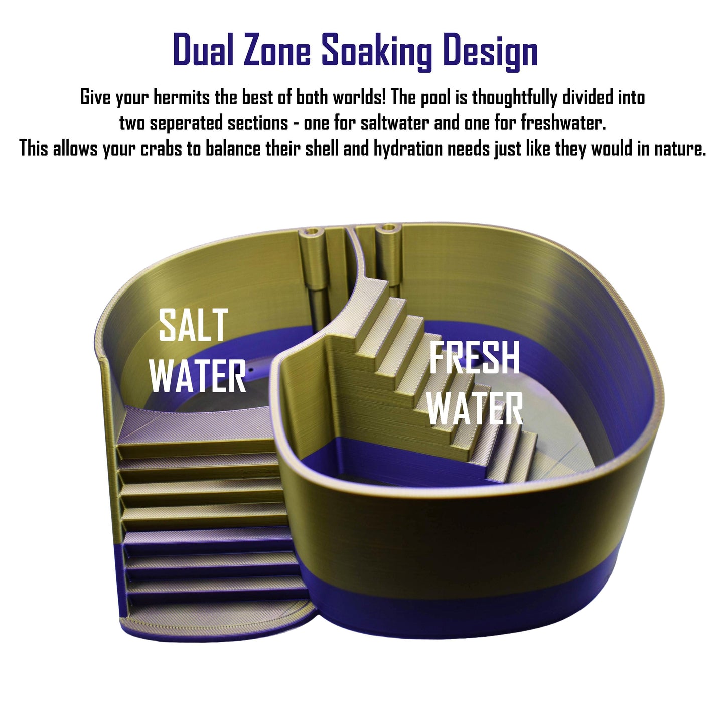 Unique Hermit Crab Swimming Pool. Soaking Bathtub For Hermit Crab. Dual-Zone Pool For Fresh & Salt Water with Built-in Climbing Ramp.