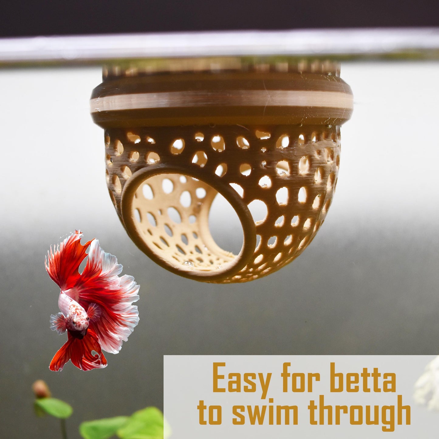 Two-Entrance Floating Betta Tunnel